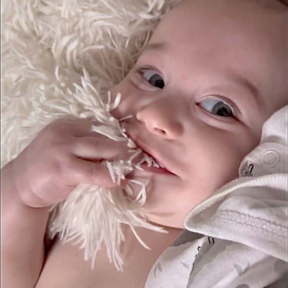 Meet your Posher, SweetPea ๐ซ - Picture 4 of 4